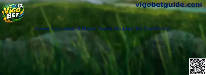 Como Funciona O Modo Turbo No Jogo Do Coelhinho
