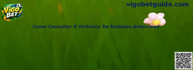 Como Consultar O Histórico De Rodadas Anteriores no Vigo Bet Spaceman